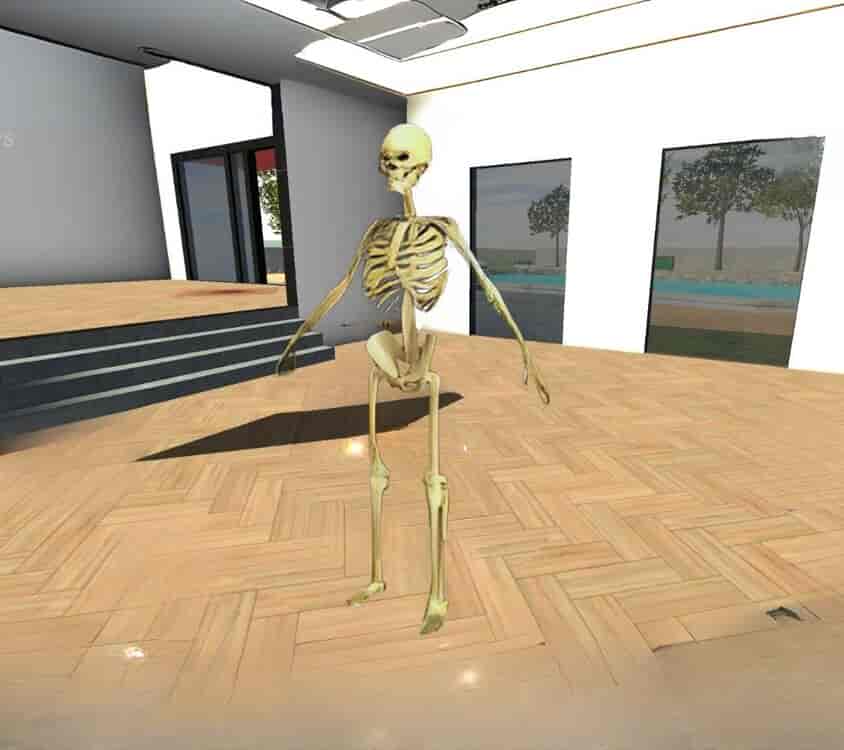 Skeleton | pm1 Mod Thumbnail - Indian Bike Driving 3D